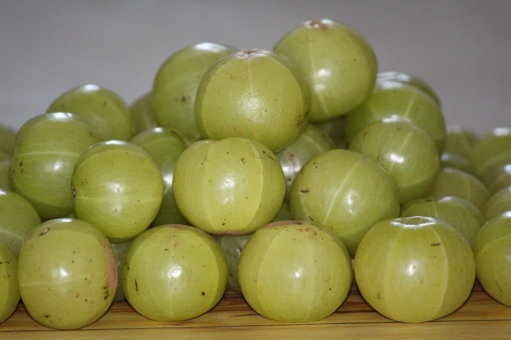 Health camp promotes benefits of amla for immunity and digestion